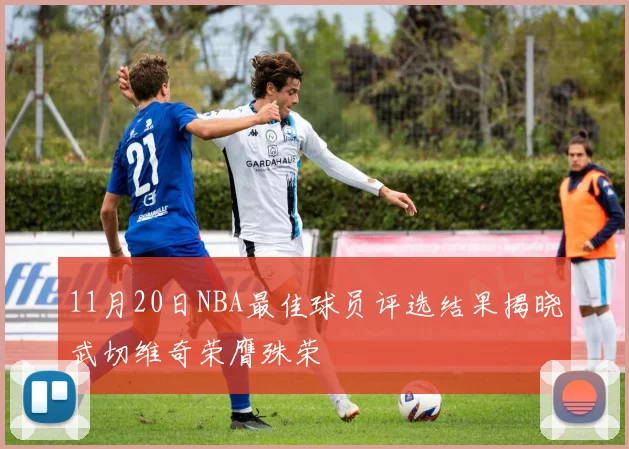 11月20日NBA最佳球员评选结果揭晓武切维奇荣膺殊荣