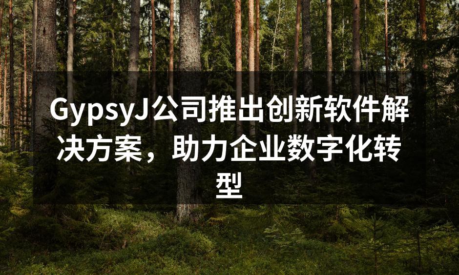 GypsyJ公司推出创新软件解决方案，助