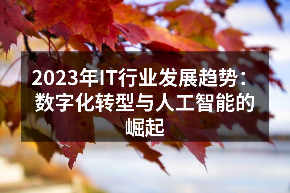 2023年IT行业发展趋势：数字化转型与