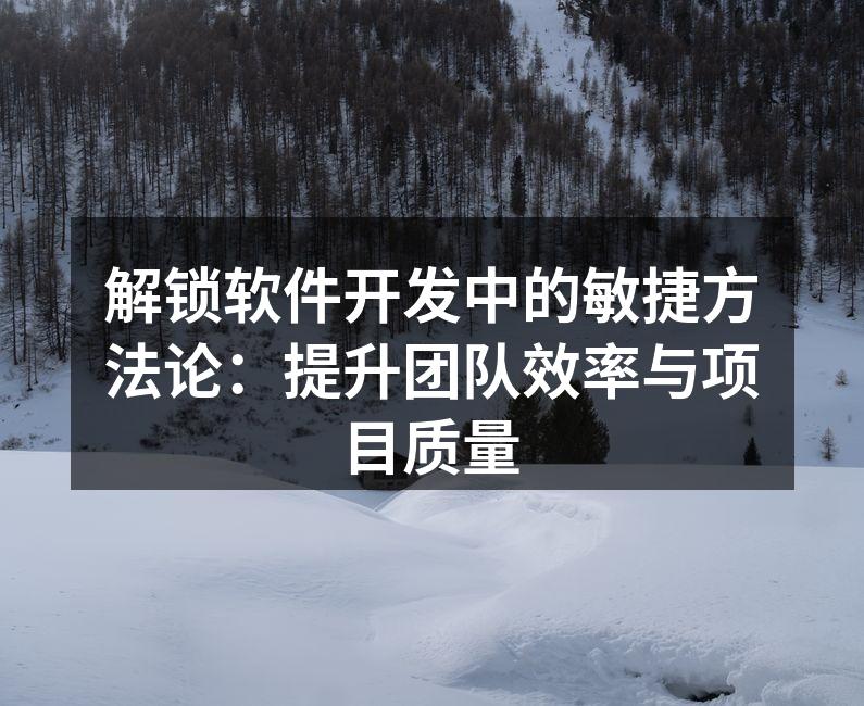 解锁软件开发中的敏捷方法论：提升团队效率