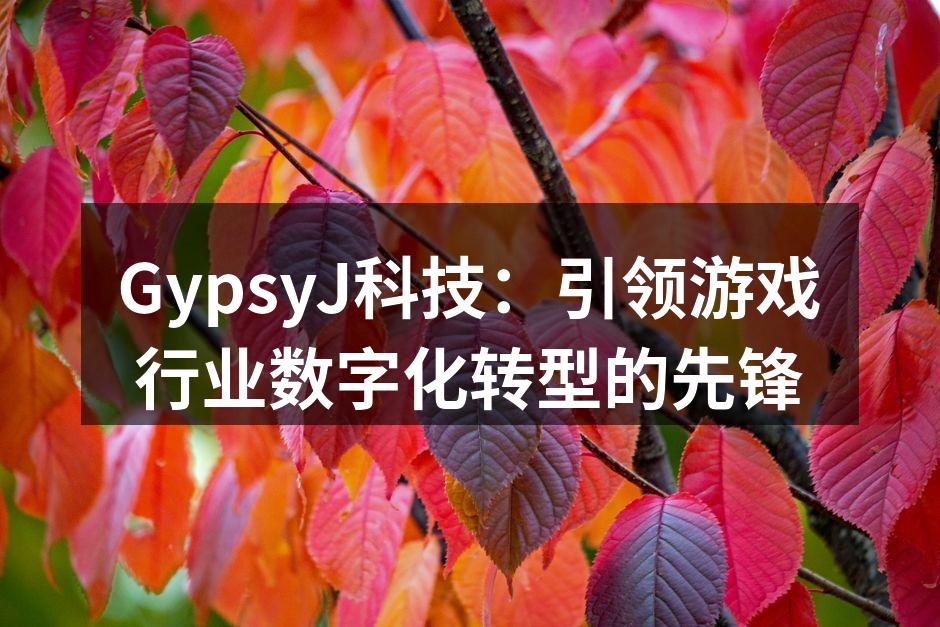 GypsyJ科技：引领游戏行业数字化转型