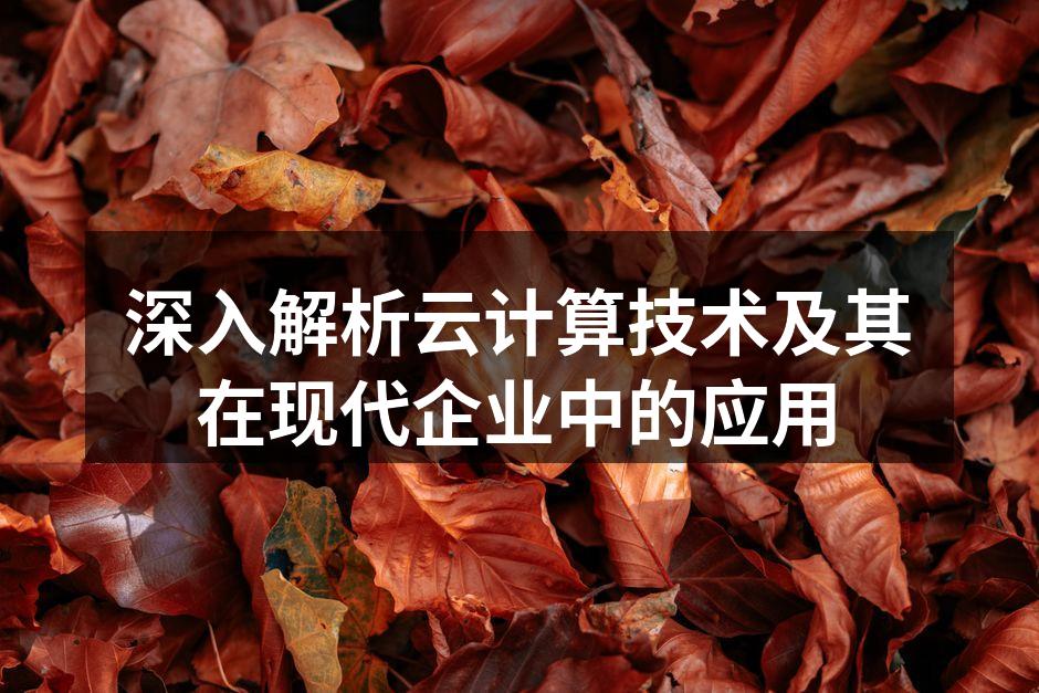 深入解析云计算技术及其在现代企业中的应用